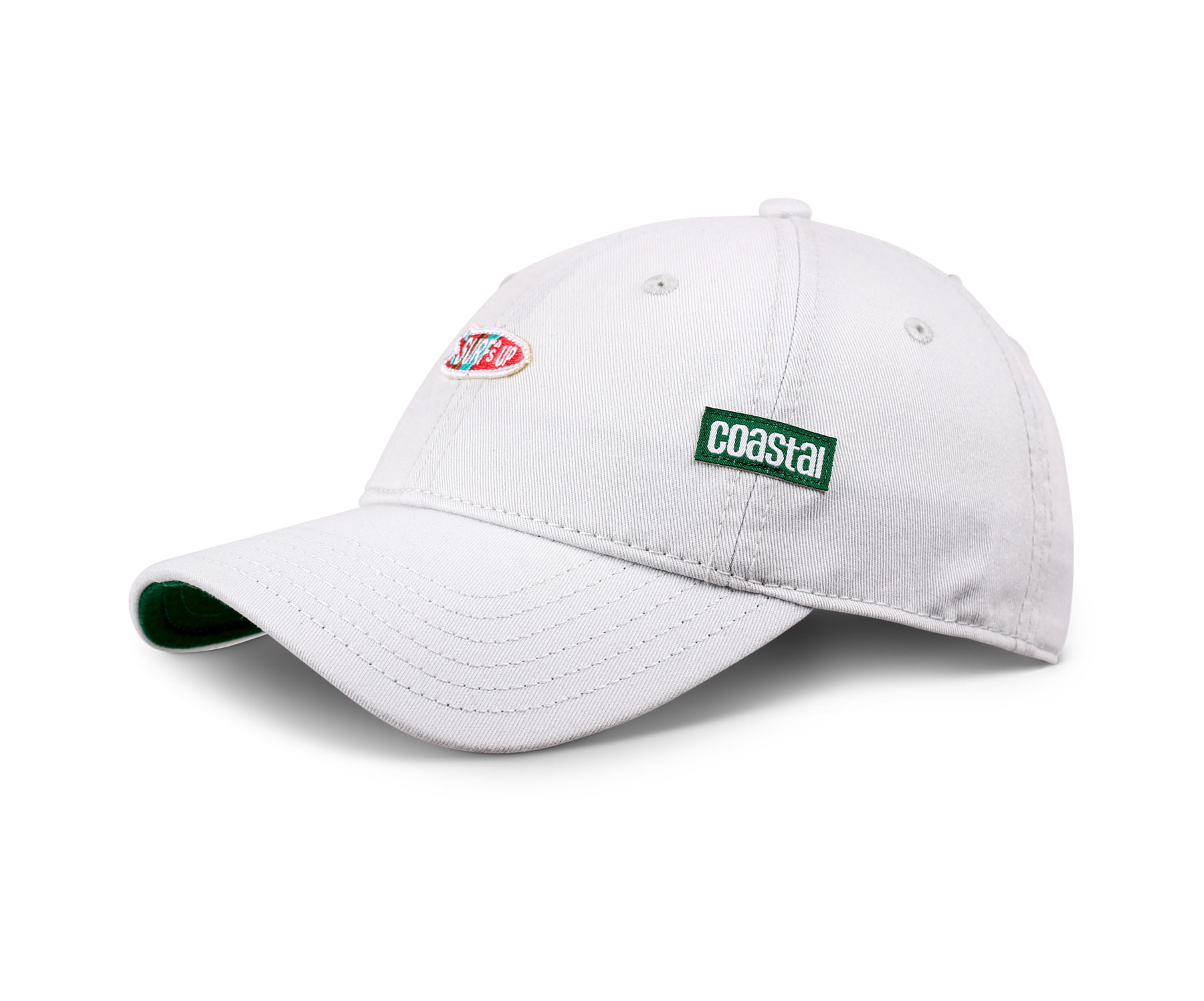 6 Panel Curved Visor SurfsUp